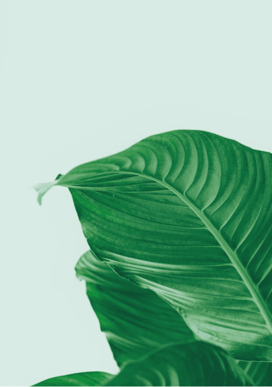 Our stylish sunglasses will make you more lucrative